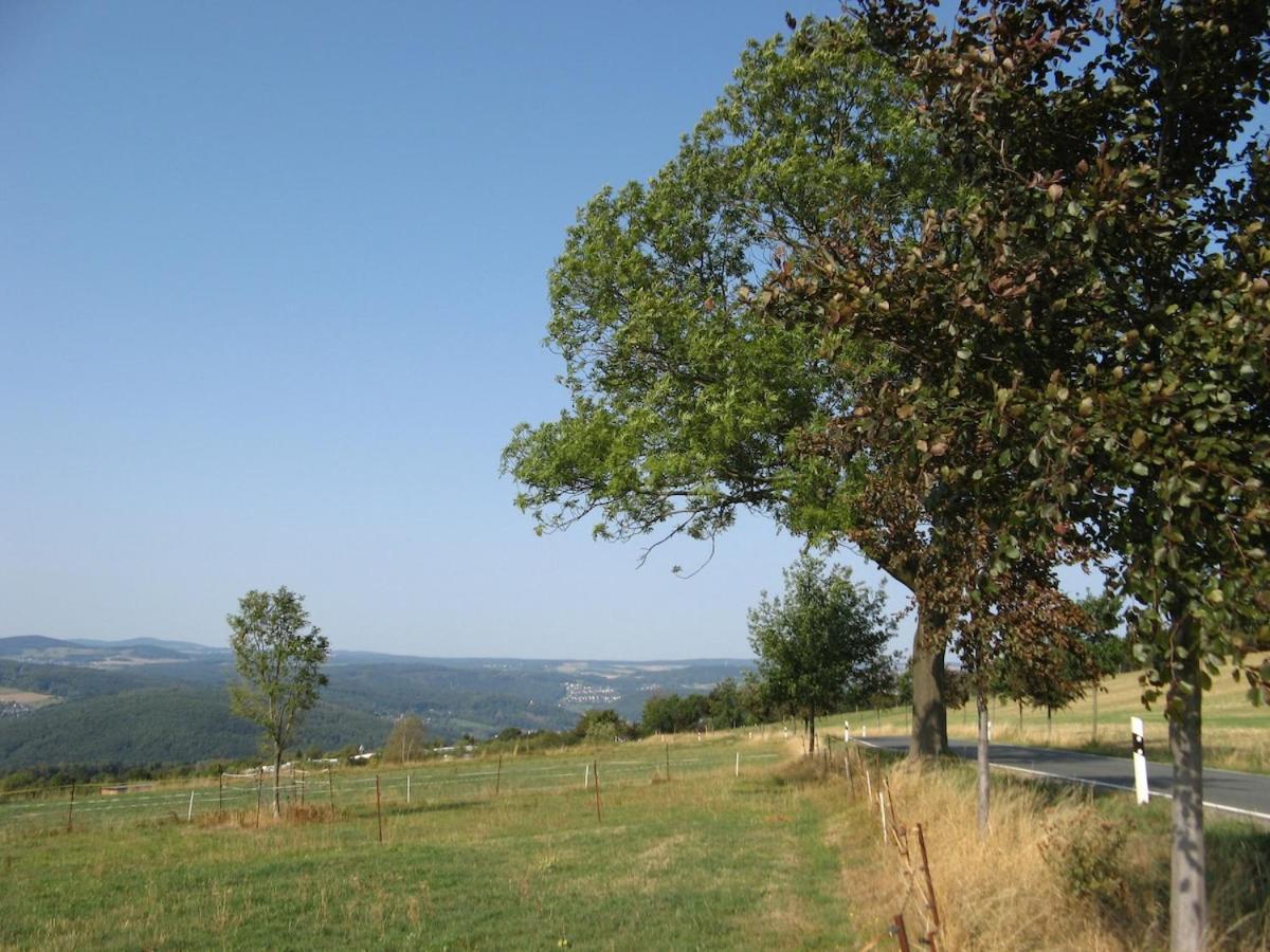 Am Balkon Des Erzgebirges Appartement Bernsbach Buitenkant foto